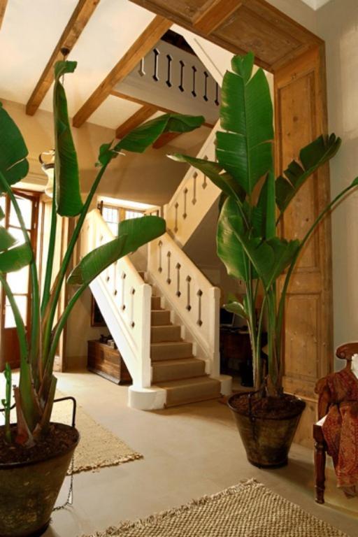 Hotel Casa Viña De Alcántara
